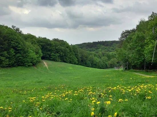 Koliba