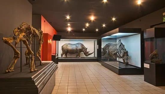 Muzeum Przyrodnicze Instytutu Systematyki i Ewolucji Zwierzat PAN