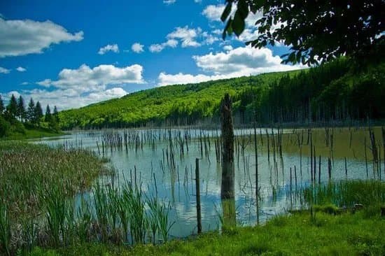 Lake Cuejdel