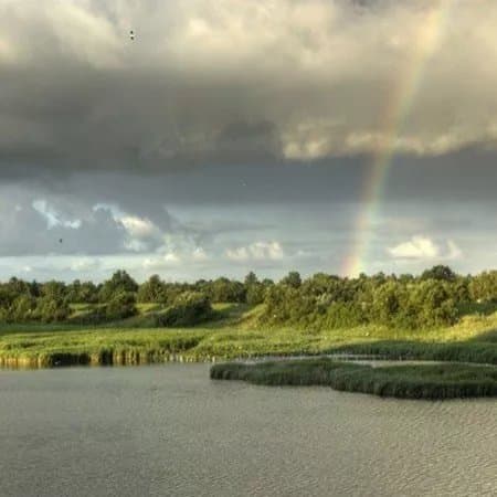Natuurgebied De Pluimpot