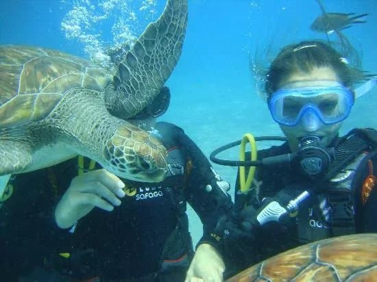 Travel Sub Dive Center