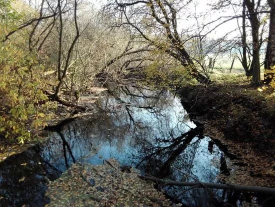 Duvenstedter Brook