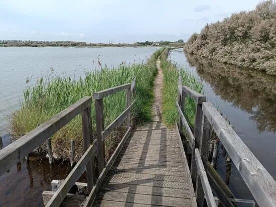 Oasi Di Cannavie