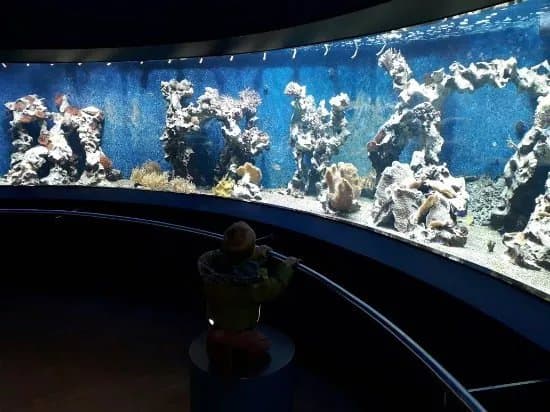 Aquazoo Loebbecke Museum