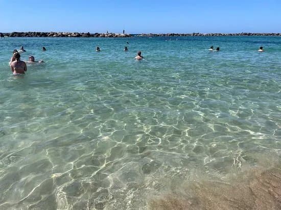 Venus Beach