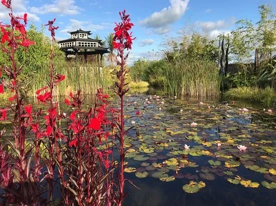 Coolwater Garden
