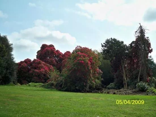 National Botanic Gardens, Kilmacurragh