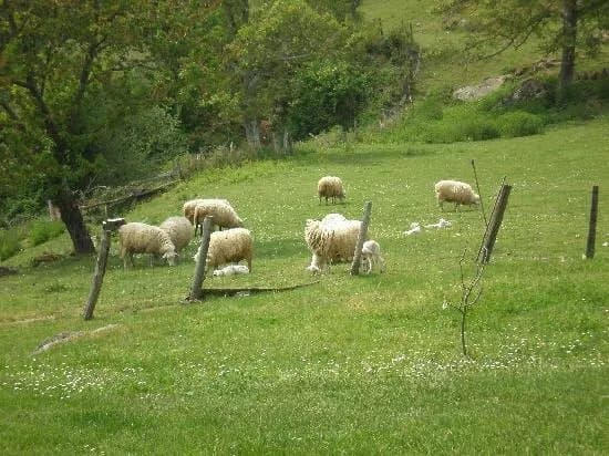 Pazo Paradela