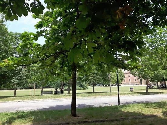 Giardino Delle Scuderie Reali