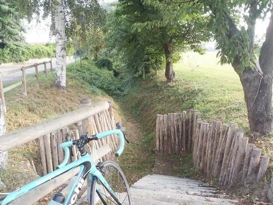 I Fontanili di Vigone