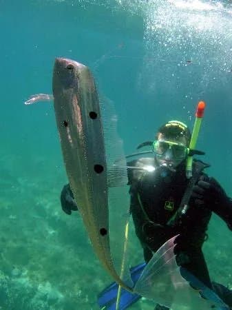 Scubatech Diving Centre