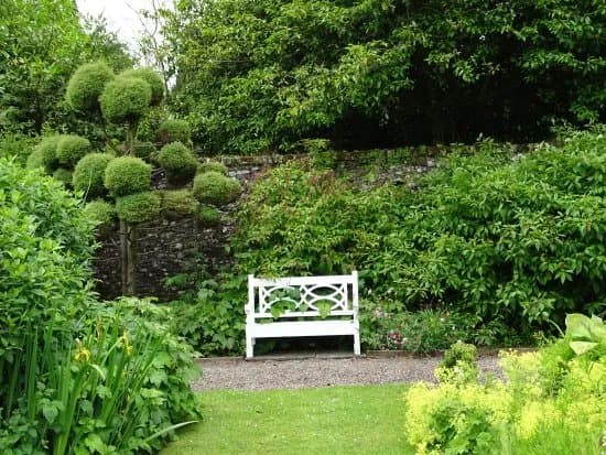 Dunninald Castle And Gardens