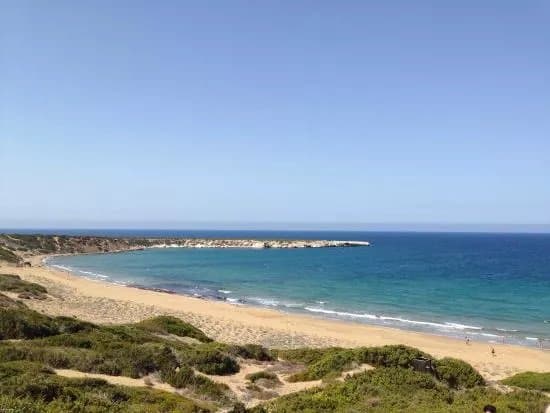 Lara Bay Turtle Conservation Station