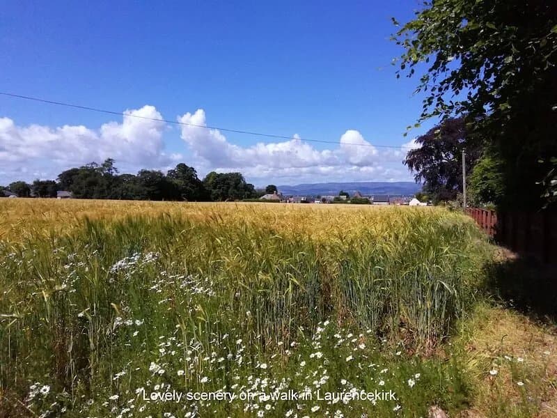 Cedar Holiday Cottage, an amazing place for a holiday in Aberdeenshire, Scotland