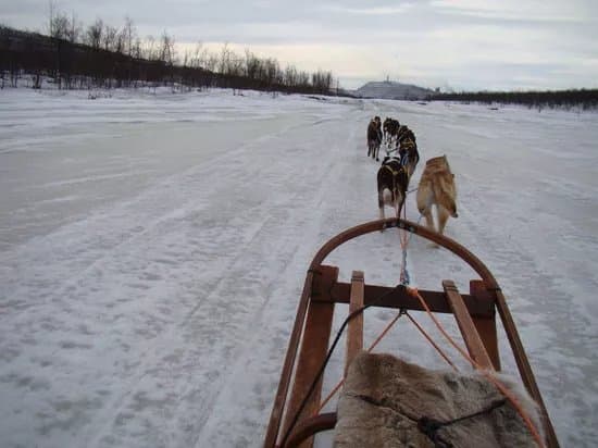 Kiruna Sleddog Tours