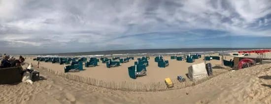 Honden strand Noordwijk