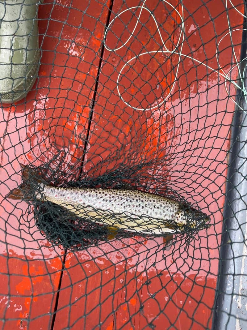 Cloonamoyne Fishery