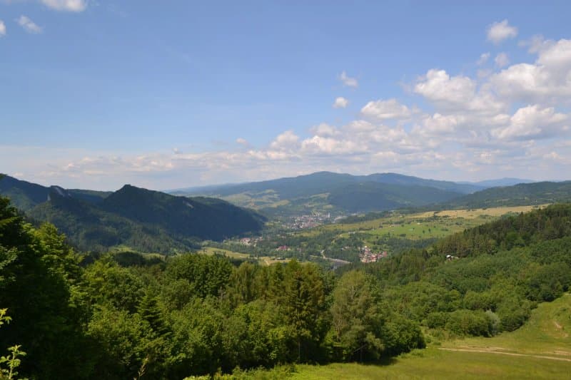 Szafranowka