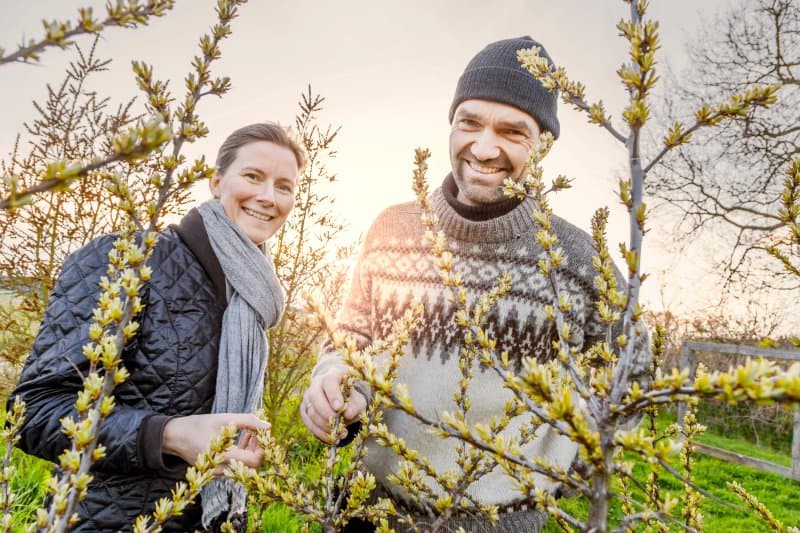 Hostet Bornholm