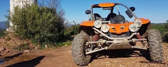 Bulldog Buggies