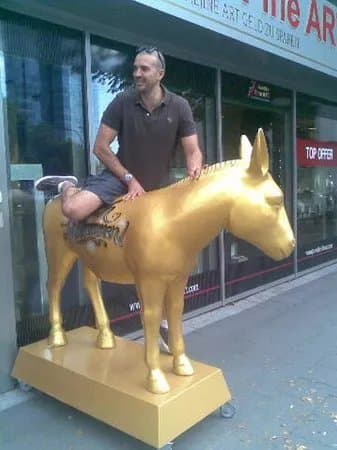 The Golden Mule
