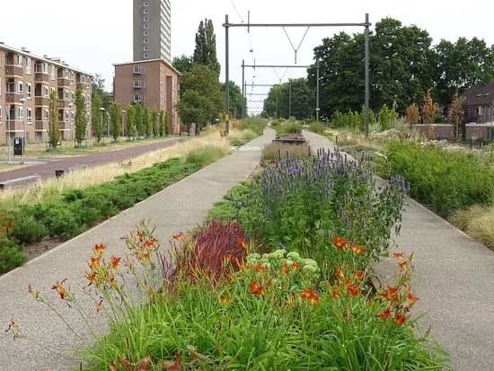 Park Oosterspoorbaan