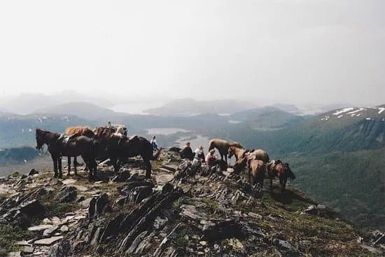 Kjellbotn