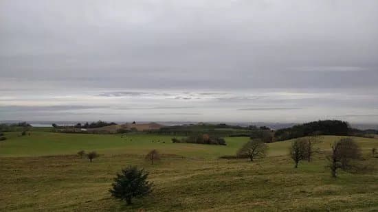 Agri Bavnehoj