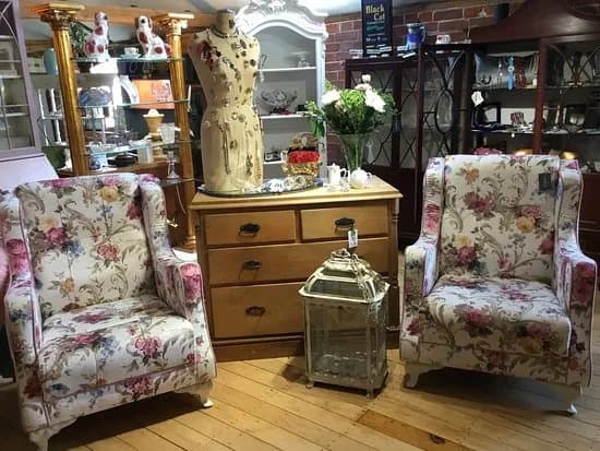 The SHED