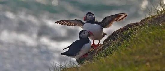 Seatours