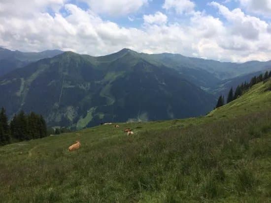 Reiterkogelbahn