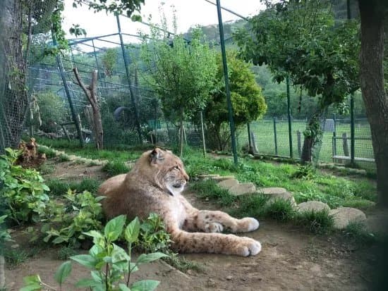 Zoologico El Bosque