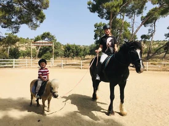 Aphrodite Hills Riding Club