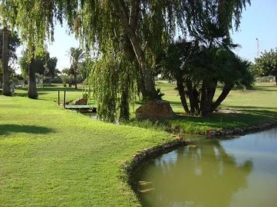 Club De Golf Torrepacheco