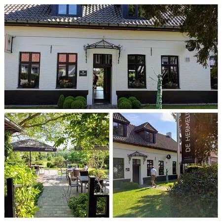 De Hermelijn