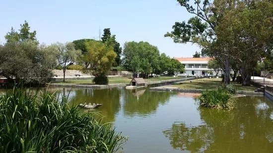 Parque Florestal De Monsanto