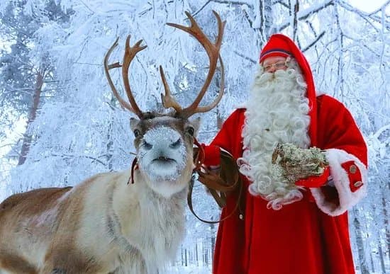 Santa Claus Reindeer