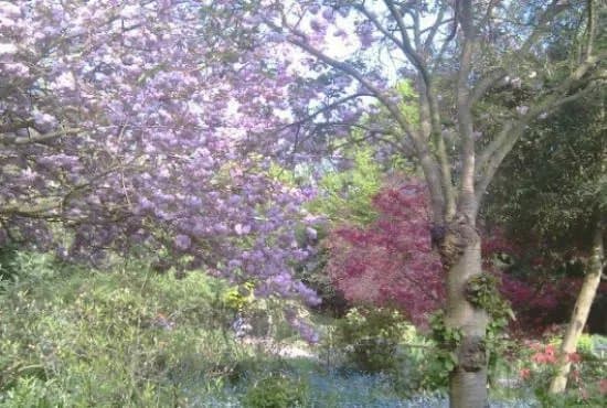 Streatham Common