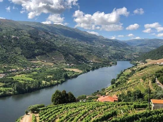 The Douro Valley