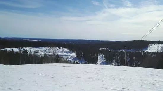 Hoforsbacken
