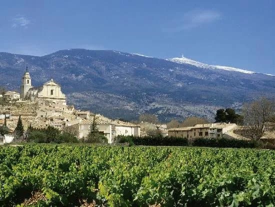 VMV Vignerons du Mont Ventoux
