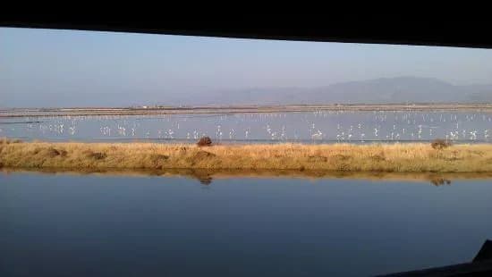 Kalloni Salt Pans