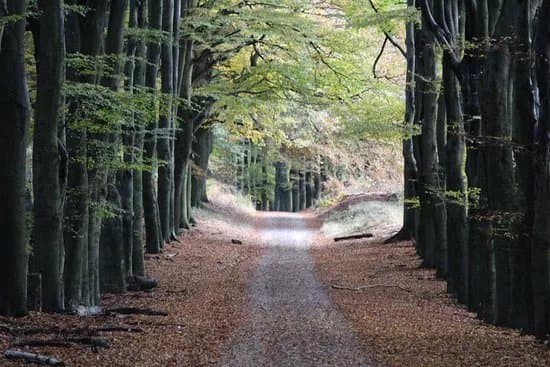 Natuurmonumenten-route Planken Wambuis