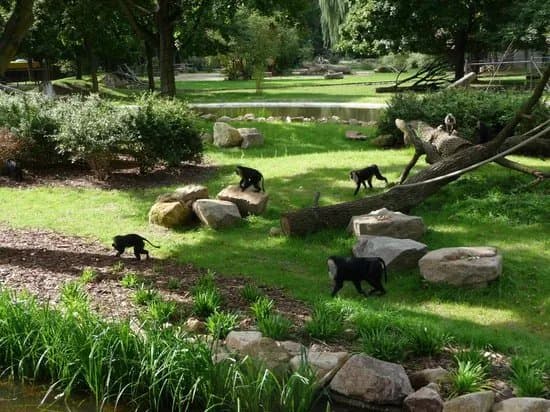 Parks & Nature