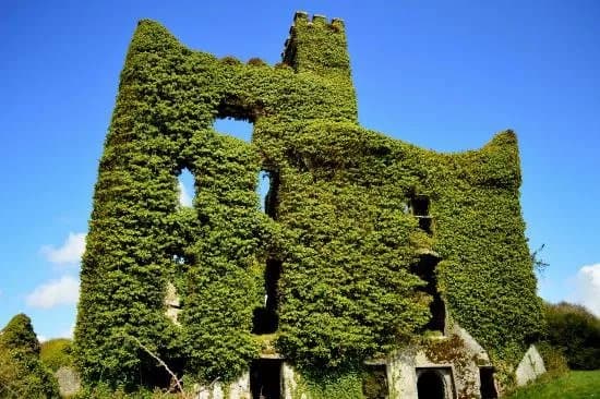 Menlo Castle / Blake's Castle