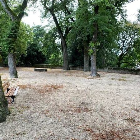 Square Des Lions