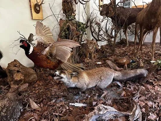 Hunting Museum Zagreb