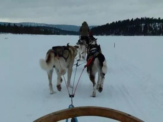 Wild Spirit Park