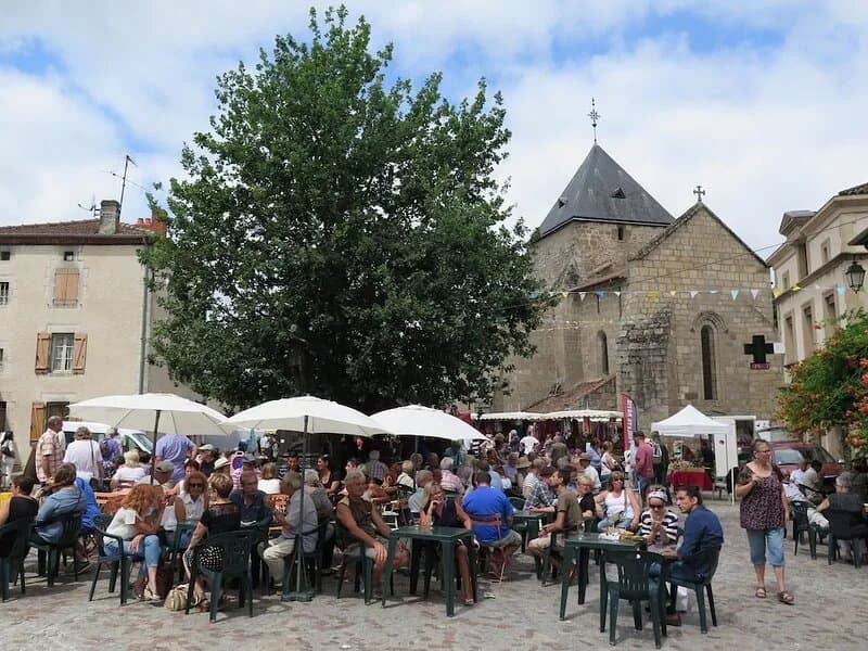 Holiday Cottage with Scandinavian Hot Tub located in Bussiere Poitevine