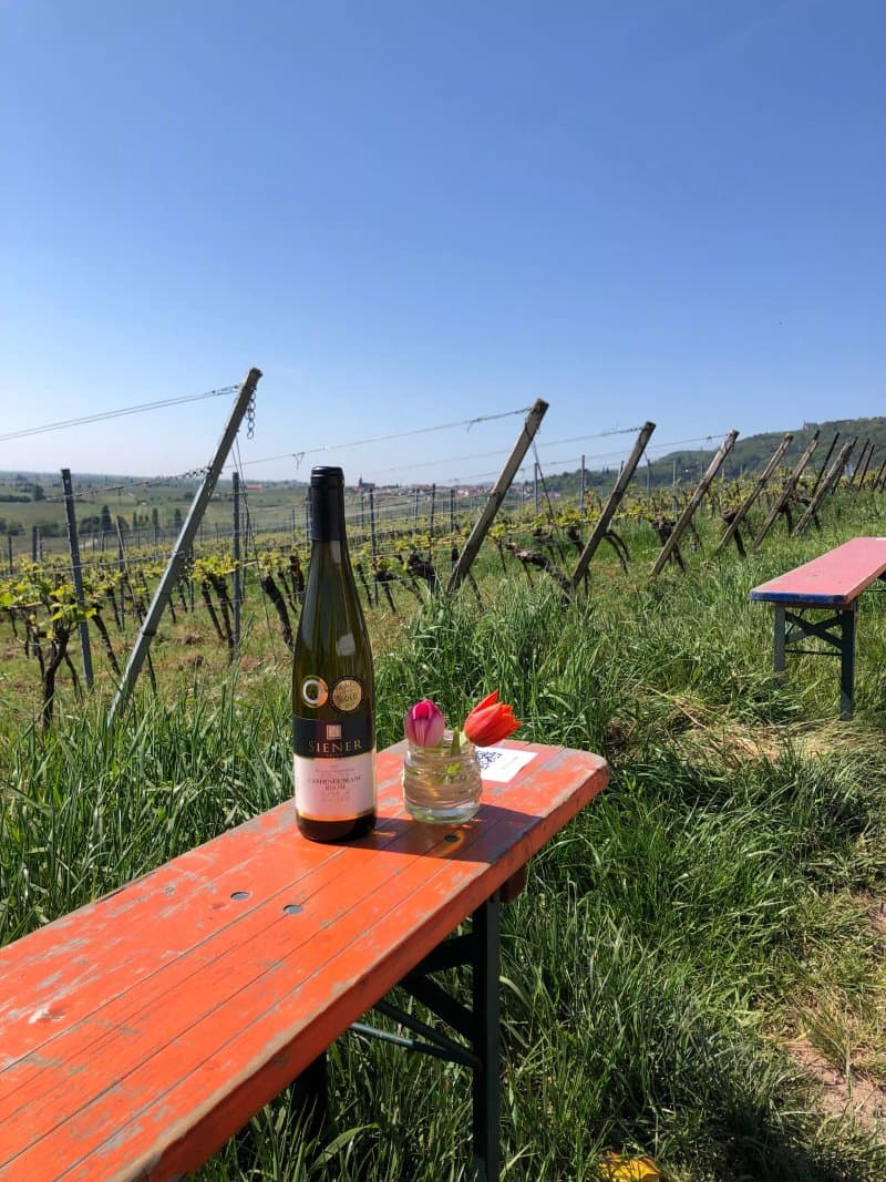 weingut Artur Siener, Inhaber Matthias Siener